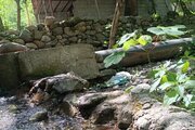 ویلا تک خواب جنگل کنار رودخانه آرمان در اسالم