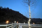کلبه سوئیسی تک خواب مبله در اسالم
