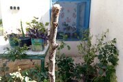 اتاق در اقامتگاه بومگردی آشخانه(2) گرمه