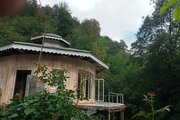 ویلا تکخواب جنگلی ژوبین در شفت