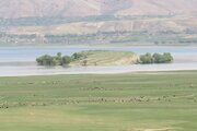 واحد ویلایی دو طبقه دوخواب در مجتمع تالاب چغاخور در بروجن