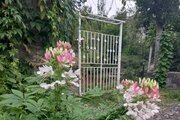 کلبه تک خواب مبله نیما در سیاهکل