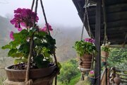 کلبه جنگلی یک خوابه بیژن در کتالم و سادات شهر