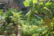 آپارتمان مبله دوخواب باران در جلفا