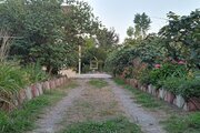 ویلا سه خواب مبله خانوم دریایی در تنکابن