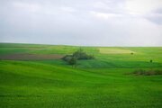 آپارتمان مبله بابونه فندقلو در نمین
