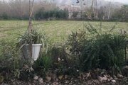 سوئیت ویلا باغ علیدوست در رشت