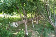 واحد مبله دوخواب در بوم گردی حور نمین