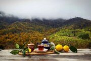سوئیت ویلا 40 متری در نشتارود