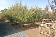 واحد 6 سنتی در بوم گردی ابوزیدآباد