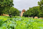 کلبه دوبلکس تکخواب 3 در بابل