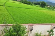 ویلا دوخواب کوه و شالیزار در قلعه رودخان