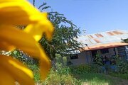 ویلا در روستای فیلبند آمل