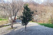 ویلا تکخواب گندم کتی در شیرگاه