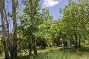 کلبه سوئیسی تکخواب سرزمین سبز در سمیرم