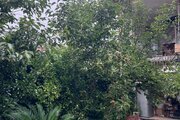 واحد مبله دوخواب طبقه همکف ویلا ابریشم در اسالم