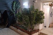 اتاق جالبوت در اقامتگاه بومگردی کنگان