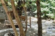 واحد دوخواب در طبقه همکف ویلا آوای طبیعت 1 در اسالم