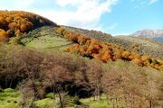 واحد مبله دوخواب طبقه اول ویلا جنگلی در سوادکوه