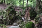 واحد تکخواب در طبقه همکف ویلای شیرگاه