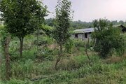 ویلای جنگلی در بابلکنار