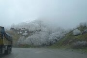 کلبه چوبی تکخواب رویایی در ماسال