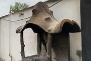 ویلا استخردار دوخواب صدف در چهارباغ