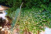 ویلا چهارخواب استخردار در بندرانزلی