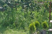 باغ ویلا ساحلی دو خواب در تالش