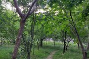 آپارتمان مبله کوهستانی دوخواب در طالقان
