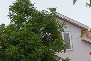 واحد دو خواب مبله در طبقه دوم ویلا ماسال