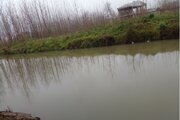 واحد دو خواب در طبقه همکف ویلا روستا رودبنه
