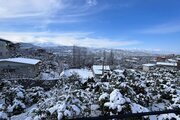 کلبه سوئیسی دوبلکس دوخواب در سوادکوه
