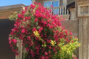 خانه ویلایی دوبلکس استخردار در فرح آباد