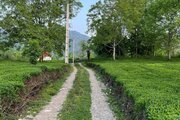 ویلا باغ تکخواب مبله در فومن