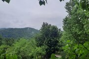 کلبه دوطبقه چوبی درختی صنوبر در بومگردی سوادکوه