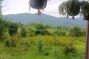 ویلا مبله دو خواب جنگلی در فومن