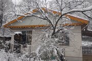 ویلا تک خواب جنگل کنار رودخانه آرمان در اسالم