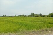کلبه سوئیسی دوبلکس سه خواب شبهای سفید در رشت