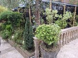 ویلا عمارت روشنا در بابل