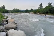 کلبه جنگلی تک خواب در تنکابن