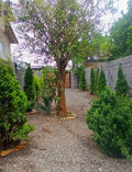 کلبه سوئیسی دوبلکس دوخواب پرستو در کتالم