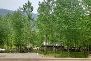 کلبه چوبی تکخواب محمد در ماسال