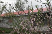 خانه ویلایی تک خواب مبله در رشت