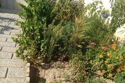 ویلا استخردار تک خواب در چهارباغ