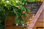 کلبه ی چوبی جنگلی محیا در لاهیجان