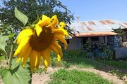 ویلا در روستای فیلبند آمل