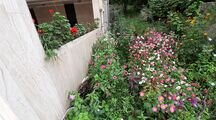 واحد دو خواب در طبقه سوم ویلا در تالش