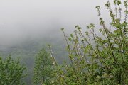 واحد مبله دوخواب طبقه همکف ویلا ابریشم در اسالم