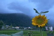 واحد دوخواب جانان در طبقه همکف ویلای چالوس